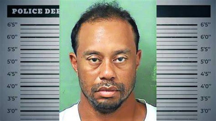 Celebrity mugshots Tiger Woods DUI the latest celebrity to get a mugshot