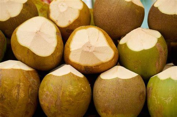 Coconuts, FREE Stock Photo, Image, Picture Coconut, Tropical Fruit