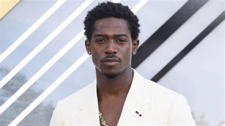 Damson Idris Ethnicity of Celebs