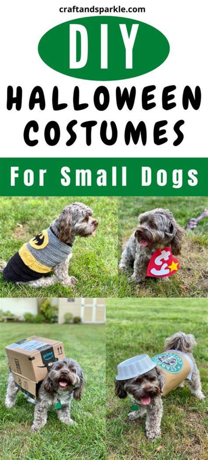 Diy costumes for small dogs Exeter
