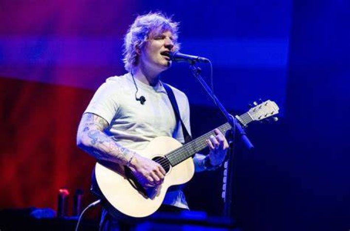 Ed Sheeran's Antarctic Cruise May Have Inspired His Newborn Baby Girl's