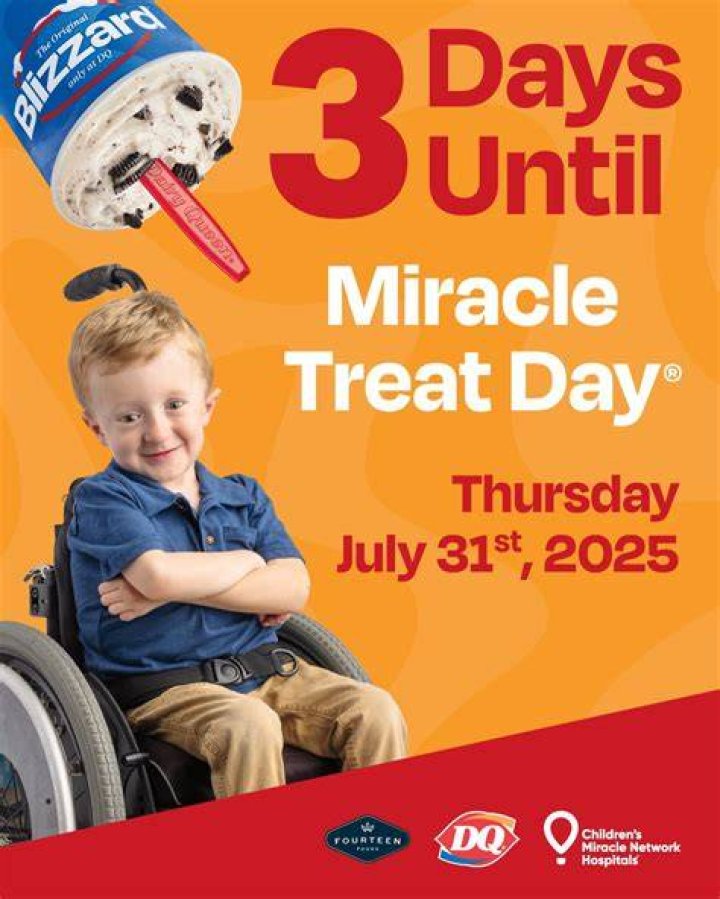 Every Treat on the Dairy Queen Blizzard Menu Ranked Eat This Not That