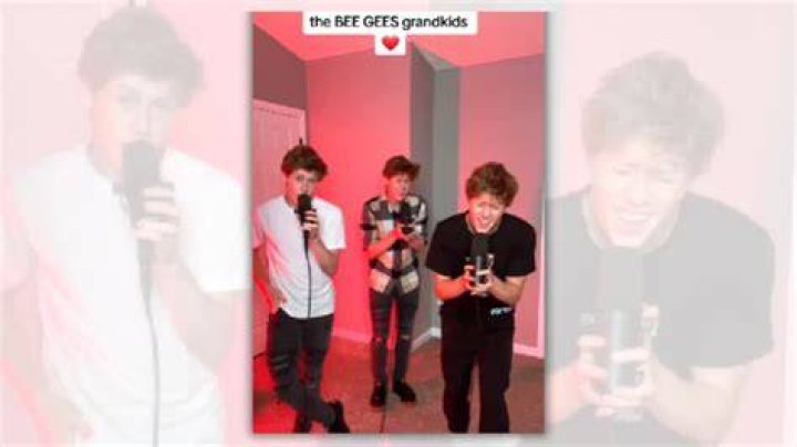 Fact Check Bee Gees' Grandchildren Showcase Talents in Adorable