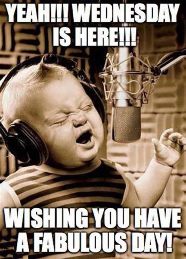 Funny Wednesday Memes To Cheer up Your Life