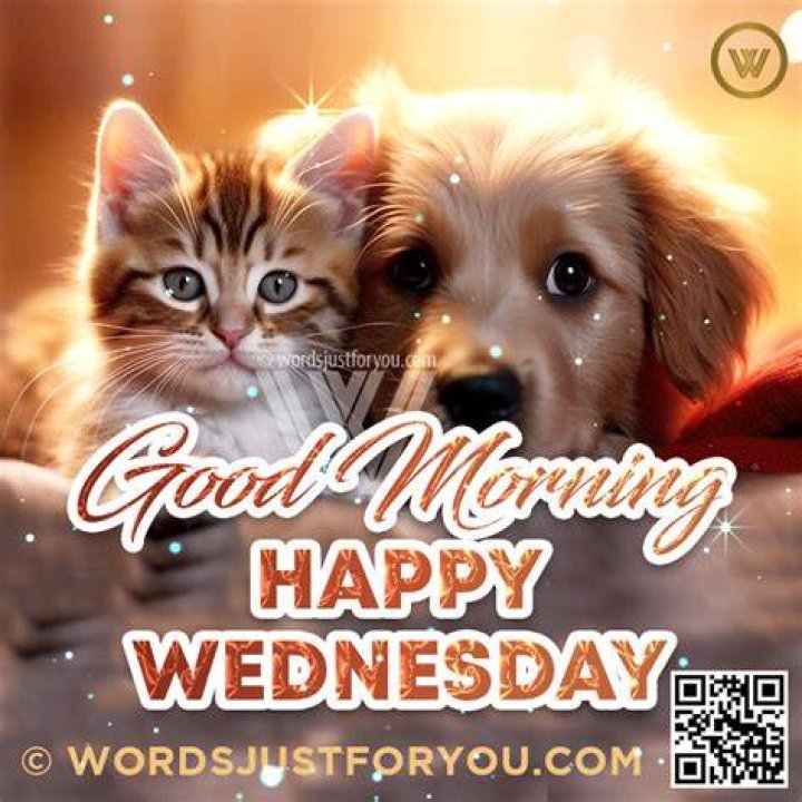 Good Morning Happy Wednesday