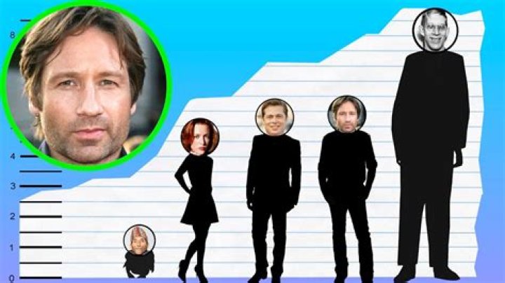 How tall is David Duchovny? Height of David Duchovny CELEBHEIGHTS&trade;