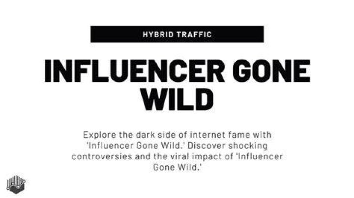 Influencer Gone Wild The Dark Side of Influencer Marketing Hidden