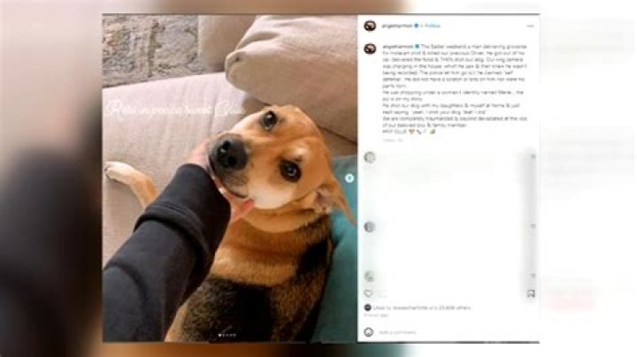 Instacart driver shoots and kills Angie Harmon's dog in North Carolina