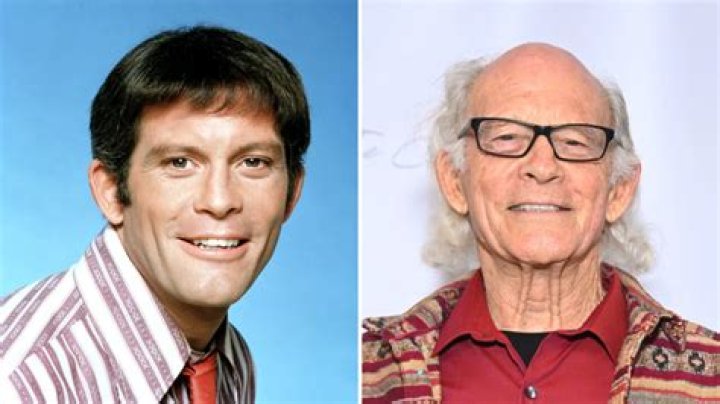 Max Gail's Wife Nan Harris Age, Wiki, Husband, Story