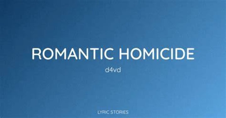 Meaning of Romantic Homicide by Notti Osama