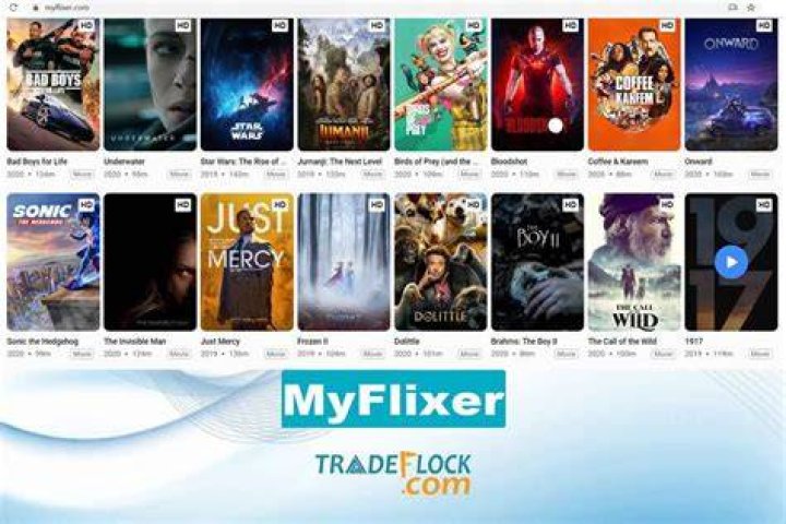 Myflixer Center