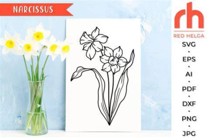 Narcissus SVG Sagittarius Flower Cut File December Birth Etsy Australia