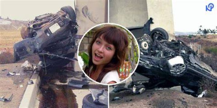 Nikki Cat Solar Death | Real Cause And Aftermath Explored