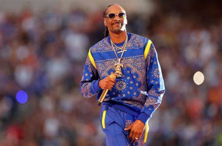 Snoop Dogg Dublap&eacute;dia Fandom