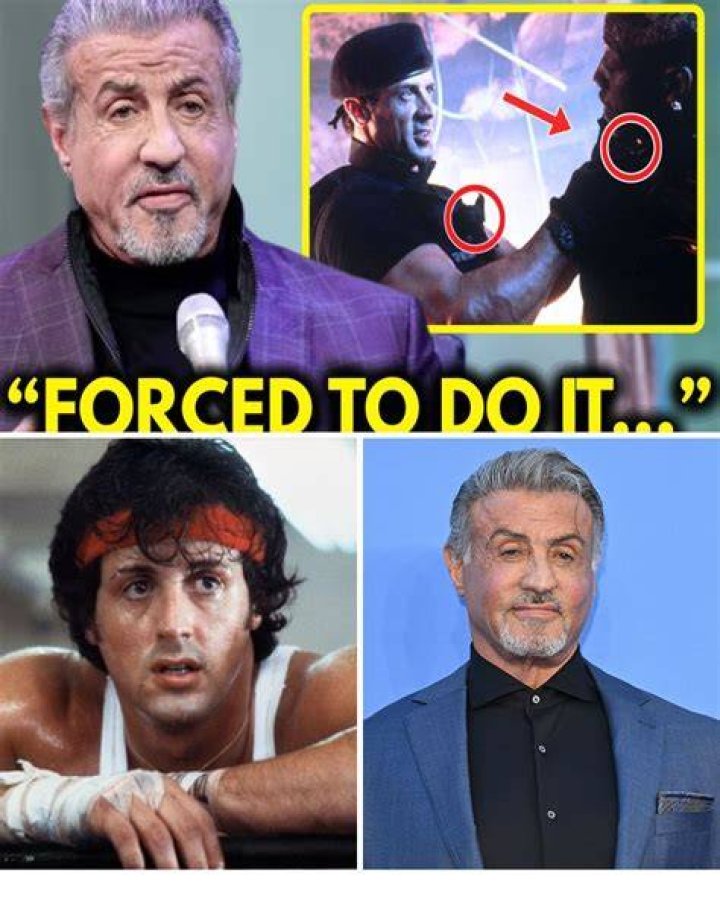 Sylvester Stallone breaks his silence on rape accusation