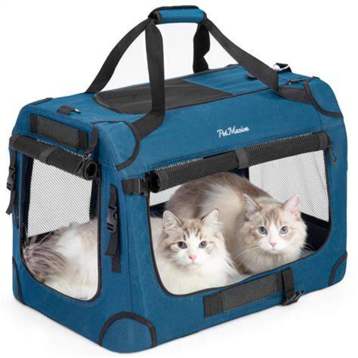 Top Loading Cat Carrier Amazon