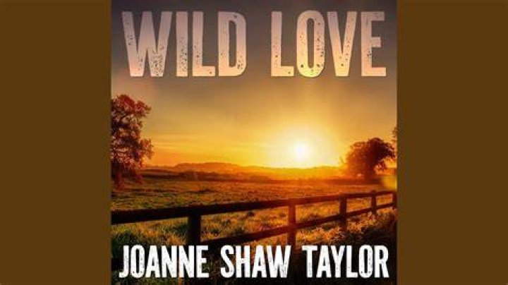 Wild Love YouTube